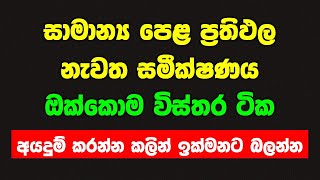 සාමාන්‍ය පෙල ප්‍රතිඵල නැවත සමීක්ෂණය  ol results recorrection online application apply 2023 [upl. by Aihsemek]