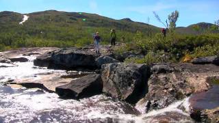 Fjellvåken2  Mogen  Hardangervidda [upl. by Knuth34]