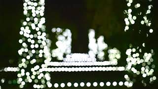 Holidays at Filoli  Garden Lights [upl. by Ensign]