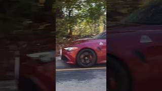 Alfa Romeo Giulia Quadrifoglio Sounds Awesome alfa alfaromeo driving exhaust shorts [upl. by Nissensohn]