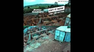 Building in Uganda from Abroad Solar CCTV is Your Secret Weapon [upl. by Sarajane]