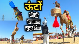 ऊंट के ऐसे करतब जिंदगी में नहीं देखे होंगे  Camel Dance  Bikaner Camel festival 2023 [upl. by Nosnehpets]