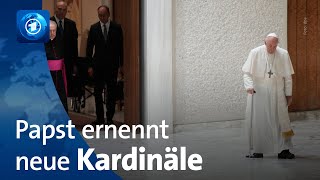 Papst ernennt neue Kardinäle  Spekulationen über möglichen Rücktritt Franziskus [upl. by Polk]