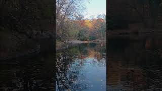 PROSPECT PARK FISHING boathouse prospectpark nycfishing brooklyn freshwaterfishing nyc [upl. by Ekenna]