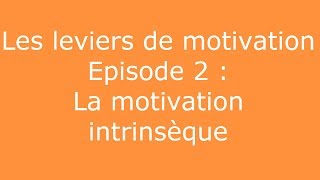 Leviers de motivation 2  La motivation intrinsèque [upl. by Eugatnom669]