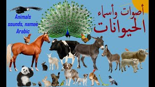 🦀 🦈🐪🦚🐩 🐈 🐍 🦃🐿 Sounds and Arabic names of animals أصوات وأسماء الحيوانات [upl. by Aguayo271]