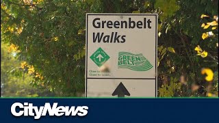 Investigations launched into Ford governments Greenbelt plan [upl. by Anerat]