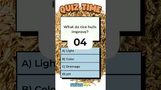 What Do Rice Hulls Improve hydroponicway hydroponics shorts quiz quiztime ricehulls perlite [upl. by Kiki]