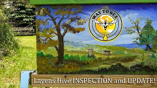 Layens Hive Inspection and Update Insulated Horizontal Hive from Dr Leos Website [upl. by Lamoureux]