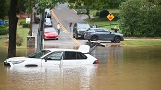 Hurricane Milton and Helene Flooded All These Auction Cars [upl. by Ellemac]