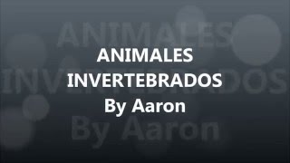 Animales invertebrados [upl. by Jessalyn]