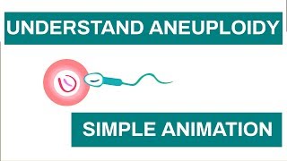 Aneuploidy in Humans Chromosome anomalies  Learn about Aneuploidy with This Simple Animation [upl. by Goodkin296]