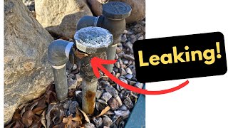 Irrigation AntiSiphon Valve Leaking  FIXED [upl. by Naellij299]