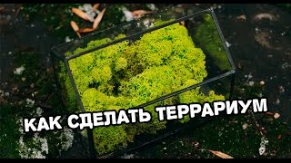 Как сделать террариум Витражная техника Тиффани [upl. by Zak]