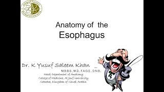 Anatomy of the Esophagus  Dr Yusuf [upl. by Esorrebma]