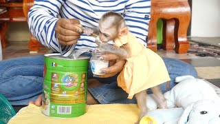 Small Baby So Hungry Cute Baby Elan Need Mom Fast Mix Milk To Her [upl. by Leroj]