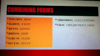 Medical Terminology Lesson 1 [upl. by Pammi]