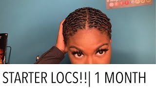 STARTER LOCS  ONE MONTH  COMB COILS  OH JUU [upl. by Dniren]