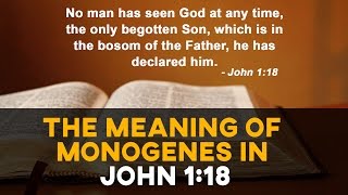 The Meaning of Monogenes in John 118 [upl. by Perceval]