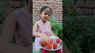 Anaya Ke Jaise Aapko Bhi Tamatar 🍅 Majedar Lagte Hain Kya 🍅shorts trending viral purvi2k20 [upl. by Aiz908]