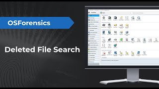 Searching for Deleted Files with OSForensics [upl. by Gardia]