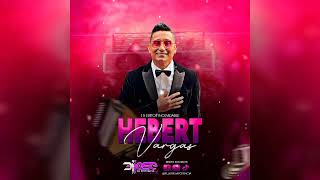 Voy a Amarte 15 EXITOS DE HEBERT VARGAS VallenatoMix [upl. by Cynara]