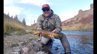 Fly Fishing the Yampa River [upl. by Ginnifer]