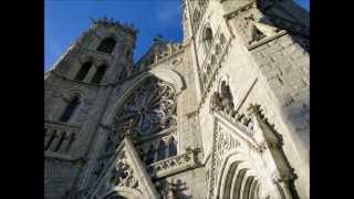 Pipe Organ  Cathedral Basilica of the Sacred Heart  Newark NJ  1080P [upl. by Evalyn707]