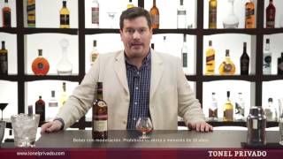 Brandy BARDINET NAPOLEON lo descubre Fernando Quinteros [upl. by Oicnerual]