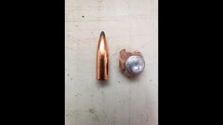 300 Win Mag 165 gr Nosler Partition ballistics gel block overview [upl. by Iilek]