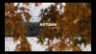 IndieIndieFolkIndiePop Compilation  AutumnFall 2023🍂Autumn Vibes [upl. by Stanwinn]