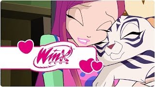 Winx Club  Season 4 Episode 14  7 the perfect number clip2 [upl. by Tinor]