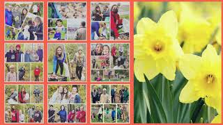 Sixth Grade Service Project  Daffodil Days [upl. by Ivatts947]