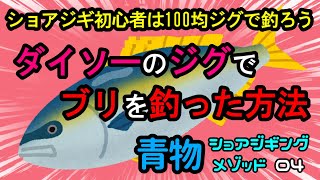 【青物】ダイソーのジグでブリを釣った方法（ショアジギング）ショアジギ初心者は100均ジグから始めよう！ [upl. by Aicilak197]