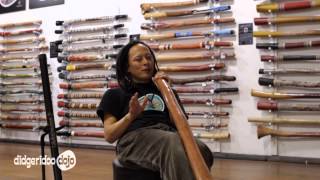 What is a Didgeridoo  Learning the Didgeridoo [upl. by Rehpotsirc]