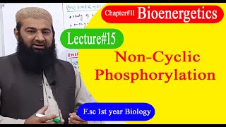 Biology Ch11Lecture15 NonCyclic Phosphorylation FSc 1st Year [upl. by Hashim]