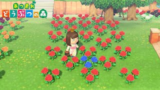 【Animal Crossing New Horizons】Flower Breeding Guide  How To Breed Hybrids【ACNH】 [upl. by Nagorb]