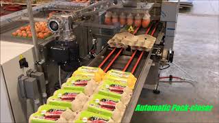 Farmpacker Repacker egg boxes DAMTECH [upl. by Colwin]