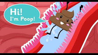 Biology  quotWhats In Our Digestive Systemquot Explained  Human Body  Science for Kids [upl. by Harvison]