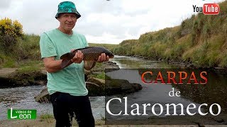 Muy divertida Pesca de CARPAS en arroyo de Claromeco con RESORTE de Leon [upl. by Dira1]