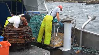 CRAYFISHING ON THE WESTCOAST OF TASMANIA NICE FOOTAGE [upl. by Smoht38]