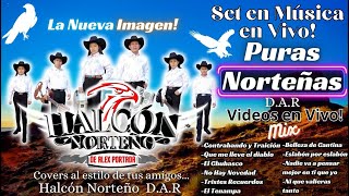 Halcón Norteño De Alex Portada  Mix Norteñas Set2 2024 [upl. by Adela832]