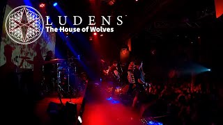 Ludens BMTH tribute band  The House of Wolves [upl. by Branca]