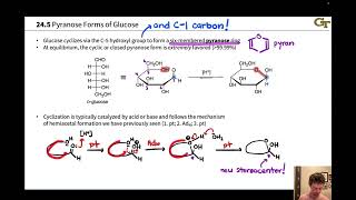 Cyclization of Carbohydrates and Anomers [upl. by Slinkman]