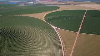 Brazils Cerrado isnt as known as its Amazon but its also at risk [upl. by Retsehc]