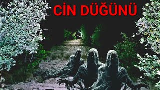 GECE YARISI GÖRDÜĞÜMÜZ TÜYLER ÜRPERTEN CİN DÜĞÜNÜ Paranormal olaylar [upl. by Ecinaej]