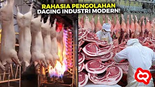 Penguasa Industri Daging Terbesar Dunia Begini Proses Pemotong Daging Menggunakan Mesin Canggih [upl. by Ambert]