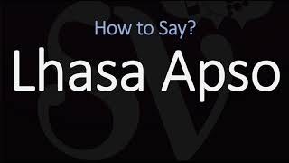 How to Pronounce Lhasa Apso Dog CORRECTLY [upl. by Celestine]