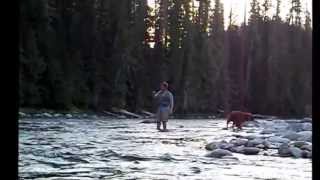 Fly Fishing on the Lochsa River [upl. by Cora739]