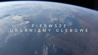 Różnorodność biologiczna Pierwsze organizmy glebowe [upl. by Eddy741]